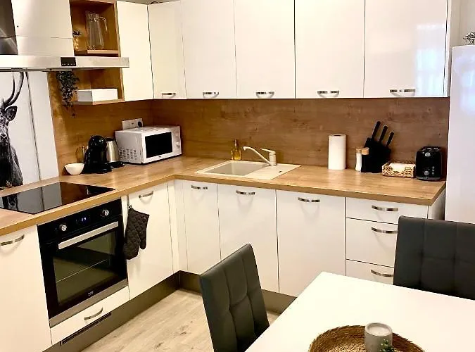 The Elite Downtown A/c & Garage Parking