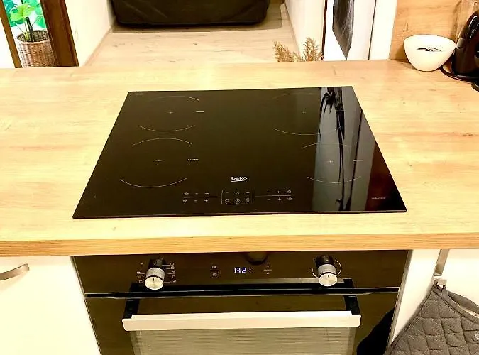 Apartman The Elite Downtown A/c & Garage Parking