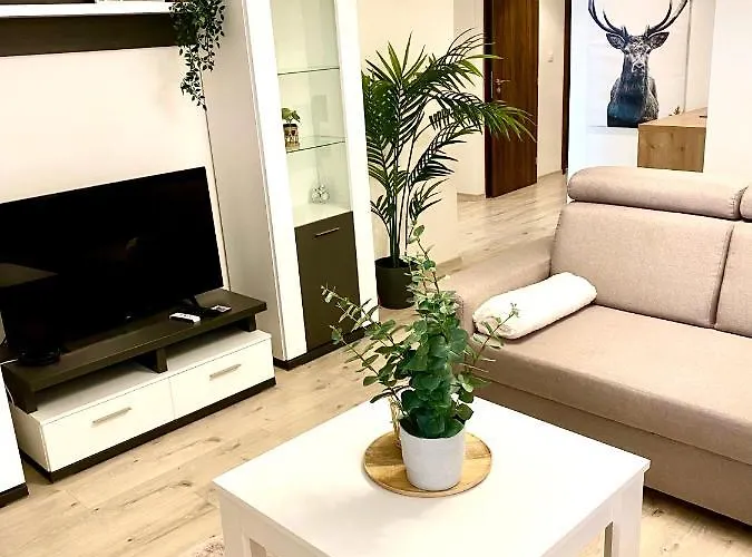 The Elite Downtown A/c & Garage Parking *